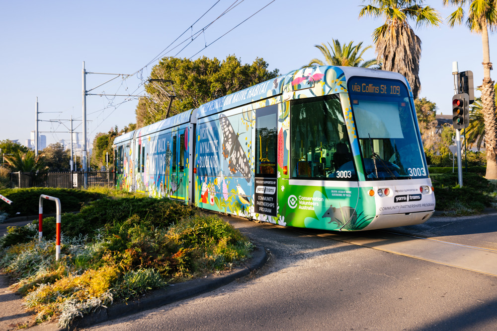 Photo of the brightly coloured Conservation Volunteers Australia tram on the network with animals, plants and insects in the design